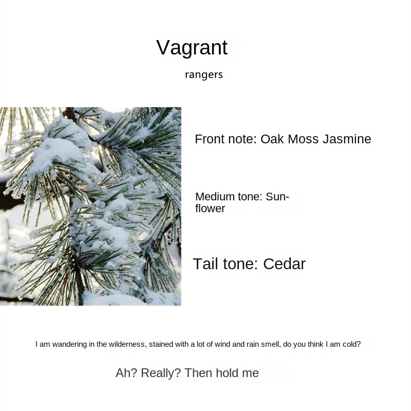 Vagrant