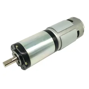 Motore elettrico cambio motore Dc generatore 3000Rpm 12V 24V Dc Motor planetario