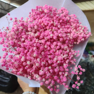 Venta al por Mayor <span class=keywords><strong>de</strong></span> Gypsophila Natural Seca, 120g/Bolsa, 400g/Bolsa, Ramo <span class=keywords><strong>de</strong></span> Flores <span class=keywords><strong>de</strong></span> Gypsophila para Centros <span class=keywords><strong>de</strong></span> Mesa <span class=keywords><strong>de</strong></span> Boda - Product Image 6