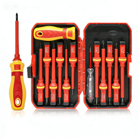 Jeu de tournevis isolés 13-en-1 personnalisable OEM, garantie 1 an, acier chrome-vanadium, piles incluses, outil domestique