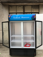 Congélateur de présentation à double porte commercial 2025, réfrigérant R290, vitrine de présentation, refroidisseur de boissons à vendre