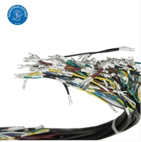 Faisceau de câblage pour équipements médicaux et appareils électroniques d'urgence, isolation PBT, IATF16949, longueur personnalisable