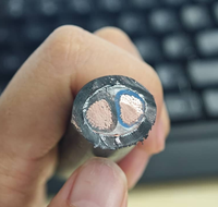 2 * 12awg 2 * 10AWG 2 * 8AWG 2 * 6AWG 2 * 4AWG RRU DC Cable blindado Conductor tipo D Cable de unidad de radio remota