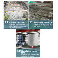 Automatische Laver Wasmachine Aardappel Ui Zaad Schoon Sla Fruit Groente Wassen En Drogen Machine Voor Verkoop
