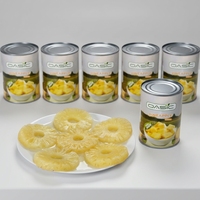 Direct van de fabriek: ingeblikte ananas in water, klaar om te eten, groothandel export, dessertvoorraad, ingeblikt fruit