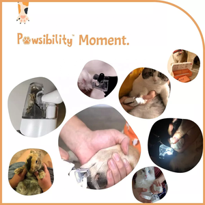KingHon Vente en gros de coupe-ongles pour animaux de compagnie en acier inoxydable personnalisés, style avec lumière LED, adapté aux chats et aux chiens, fournitures de nettoyage - Product Image 6