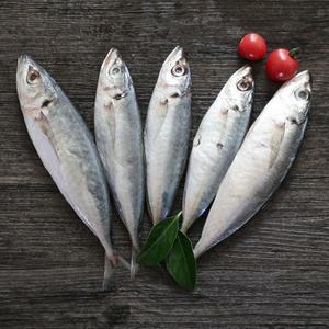 Produits de la <span class=keywords><strong>mer</strong></span> congelés : <span class=keywords><strong>Poisson</strong></span> Scad Rond, Scad Queue Jaune, Scad Rond de petite taille, Scad Rond à petits yeux, Scad Rond de pêche légère - Product Image 1