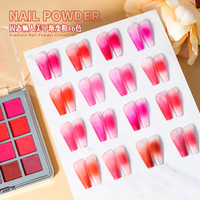 Peinture bricolage miroir perle holographique Pigment poudre manucure Nail Art décoration 16 couleurs solide ongles Chrome poudre ensemble