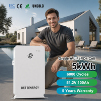 Batterie solaire domestique LiFePO4 5KWh 51.2V 100Ah, système de stockage d'énergie basse tension avec 6000 cycles pour les ménages