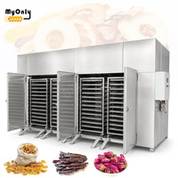 Mijn industriële voedseldroger voor fruit, gedroogde gember en jerky.