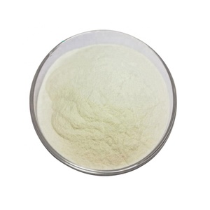 Extrait de <span class=keywords><strong>Boswellia</strong></span> Serrata de haute qualité, 65% d'acide boswellique, poudre de résine d'encens, fourni par l'usine - Product Image 1