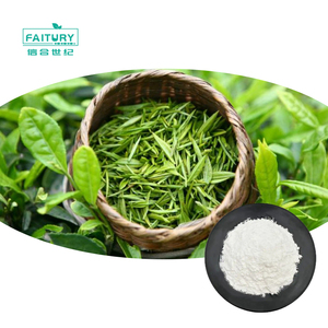 페이투리 도매 대량 CAS 3081-61-6 녹차 추출물 99% L-테아닌 분말 - Product Image 2