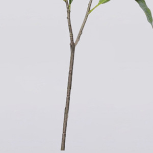 Branches artificielles de mangue Dream Castle, 30cm-100cm, en plastique durable, pour décoration intérieure, bouquet - Product Image 4