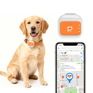 Collier de suivi GPS pour <span class=keywords><strong>chien</strong></span>/chat de haute qualité G01, suivi en temps réel, positionnement intelligent, anti-perte, localisateur GPS - Product Image 1