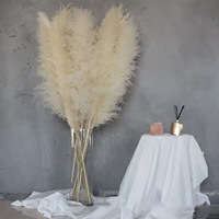 Kunstmatig Pampas Gras Gedroogde Rietbloemen Groothandel Goedkope Prijs Boeket Huiskamer Decor Bruiloft Bos Konijnenstaart Gras