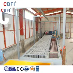 CBFI-12 ton Block Ice plant in the Philippines