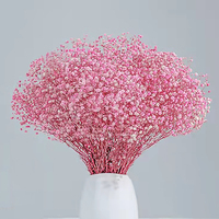 HFloral Fabricant de fleurs conservées et séchées Fourniture du souffle de bébé préservé pour la décoration de mariage
