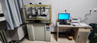 Máquina de Ensayo de Compresión y Flexión de Cemento Xinguang WDW-300 de 30 Toneladas con 0.5% de Precisión y 1 Año de Garantía