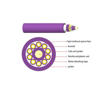 Kabel Serat Optik Breakout Indoor Berpelindung Rapat 10 Inti Benang Aramid FRP LSZH Non-Metalik Bersertifikasi CE/ROHS/ISO9001