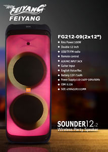 Altavoz Estéreo Inalámbrico Bluetooth de Doble 12 Pulgadas Feiyang OEM, Radio FM, Música, <span class=keywords><strong>Bafles</strong></span>, Amplificador de Karaoke <span class=keywords><strong>para</strong></span> DJ - Product Image 3