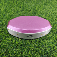 Vente chaude Golf Game Park Corée Ground Club Driver OEM Personnalisation Maple Wood Park Golf