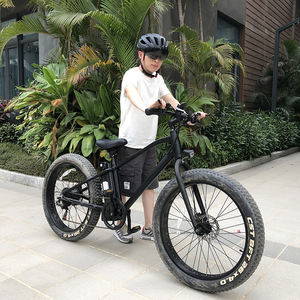 จักรยานไฟฟ้าสำหรับคนญี่ปุ่นขนาด24กม./ชม. 350W ระยะไกล - Product Image 4