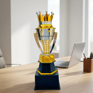 Royal Crown Trophy Metal Award Cup With Gold Base And Silver Body For <b>Cricket</b> <b>Equipments</b> - Product Image 6