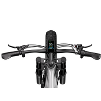 Bicicleta Eléctrica de Doble Motor de 2000W con Frenos Hidráulicos, Batería de Litio de 48V 17.5Ah, Cuadro de Aleación de Aluminio, para la UE y el Reino Unido