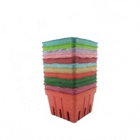 Paniers de baies de cerisier frais personnalisés, papier de plante renouvelable, pâte de baies, poinçon