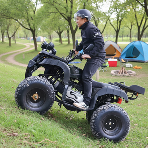 <span class=keywords><strong>ATV</strong></span> para Adultos con Transmisión Automática LNA de 250cc, Ideal para Principiantes, <span class=keywords><strong>Alquiler</strong></span> Turístico - Product Image 1