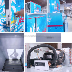 Commercial Single-Temperature Fan Cooling Bagged Ice Storage <b>Freezer</b> Outdoor Industrial Storage Bin - Product Image 4
