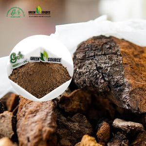 nhiên Chaga nấm chiết xuất Chaga nấm bột màu xanh lá cây cuộc sống thảo mộc giá tốt nhất Chaga chiết xuất bột Chaga chiết xuất - Product Image 3