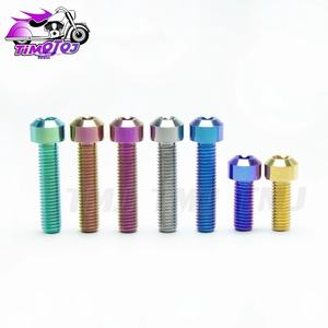 TMJ M8 Titanschrauben mit Torx-Kopf, 10mm Größen, 10 Stück/Los für Motorrad- & Auto-Umbau - Product Image 2