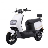 Vente en gros usine – Trottinette électrique rapide 60V 1000W, 10 pouces, en acier, pour adultes, tout-terrain – Motos électriques économiques pour adultes