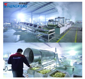 เครื่องทำมันฝรั่งทอด ข้าวโพด ผลไม้ และผัก ยี่ห้อ New Shengkang รุ่น 100 กก./ชม. แบบอัตโนมัติเต็มรูปแบบ ประสิทธิภาพสูง ผลิตจากสแตนเลส ควบคุมด้วยระบบ PLC - Product Image 4