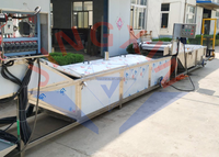 Poche de germination automatique bain-marie pasteurisateur machine de pasteurisation des aliments pasteurisateur de sac de pâte de gelée