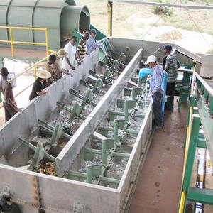 Ligne De Traitement De Garri Et De <span class=keywords><strong>Farine</strong></span> De <span class=keywords><strong>Manioc</strong></span> - Product Image 1