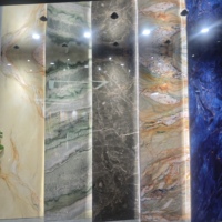 Panneau de charbon de bois de qualité supérieure avec conception de panneau de roche en carbone marbré pour une décoration murale élégante