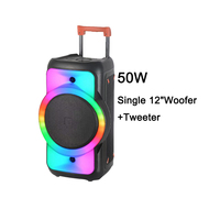 Grands haut-parleurs BT professionnels Système de haut-parleurs de sonorisation portable avec tweeter de 12 "et lumière de fête
