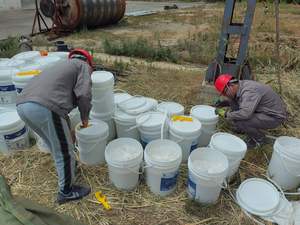 औद्योगिक सीवेज उपचार संयंत्र कोड हटाने जीवाणु अभिकर्ता जलमल उपचार बायोप्रोस 300 एरोबिक उन्नत बैक्टीरिया - Product Image 4
