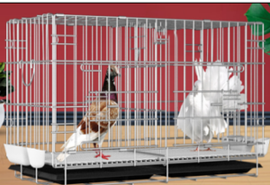 Jaulas <span class=keywords><strong>de</strong></span> Cría <span class=keywords><strong>de</strong></span> Palomas Plegables <span class=keywords><strong>de</strong></span> Lujo para Interiores y Exteriores, Jaulas Exteriores y Jaulas <span class=keywords><strong>de</strong></span> Alambre Recubiertas <span class=keywords><strong>de</strong></span> Plástico al por Mayor - Product Image 2