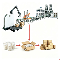 Robot palettiseur automatique pour bouteilles, sacs de riz, cartons et boîtes – Équipement de palettisation robotisée pour l'emballage de colis