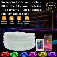 Tira de Luz LED RGB RGBW Inteligente y Flexible 5050, Luz Uniforme sin Puntos, IP67, Tubo de Silicona de 5 Metros para Exteriores y Uso Comercial
