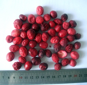 Haccp chứng nhận Nhà máy cung cấp khỏe mạnh tinh khiết tốt nhất đông khô bột trái cây tự nhiên số lượng lớn đóng gói FD Cranberry bột cho nước trái cây - Product Image 4