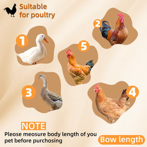 Paslanmaz Çelik Açık Hava Tavuk Kümesi ve Tavşan Kafesi, Tekerleklerle Kolay Taşınabilir, Nefes Alabilen Tasarım, Kolay Kurulum - Product Image 6