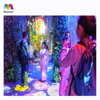 Sistema de proyección interactiva para exteriores, programa de iluminación láser para paisaje, bosque, Show, vídeo, mapeo, 3D