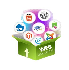 <strong>Web</strong> <strong>Development</strong> and Designing Service Provider Professional Website Design Online Stores - Product Image 1