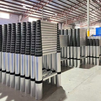 Échelle télescopique en aluminium portable à 9 marches, idéale pour la décoration intérieure et les travaux de jardinage extérieur