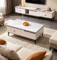 Ensemble Meuble TV et Table Basse de Luxe Moderne Personnalisé, Facile à Nettoyer, pour Villa, Appartement, Chambre et Salons