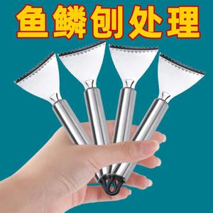 เครื่องขูดเกล็ดปลาสแตนเลสแบบใช้มือ สำหรับทำความสะอาดอาหารทะเล ปลอดภัยสำหรับเครื่องล้างจาน - Product Image 5